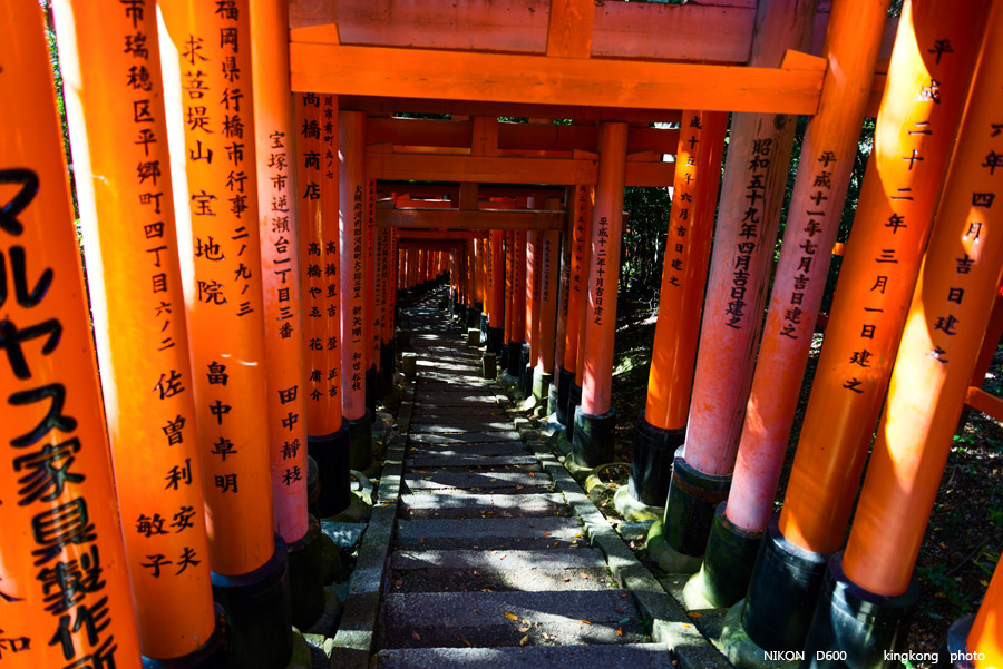 DSC_5913.jpg - OSAKA 2013