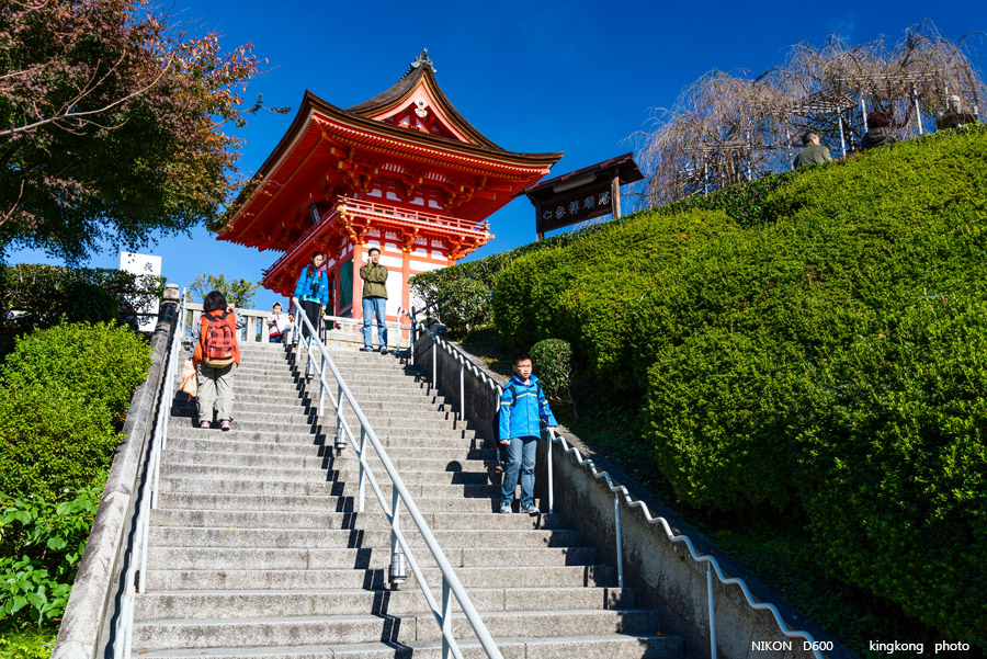 DSC_5951.jpg - OSAKA 2013