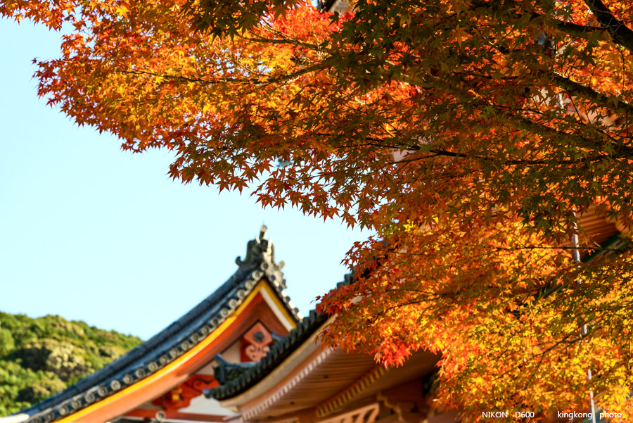 DSC_5960.jpg - OSAKA 2013
