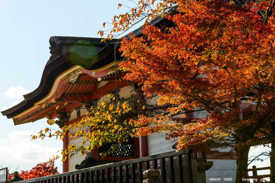 DSC_5962.jpg - OSAKA 2013