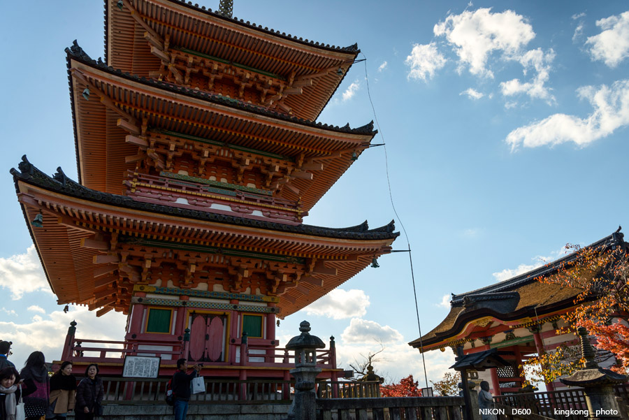 DSC_5964.jpg - OSAKA 2013