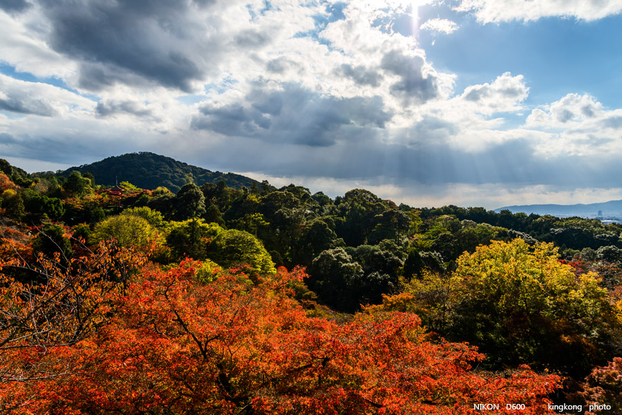 DSC_5979.jpg - OSAKA 2013
