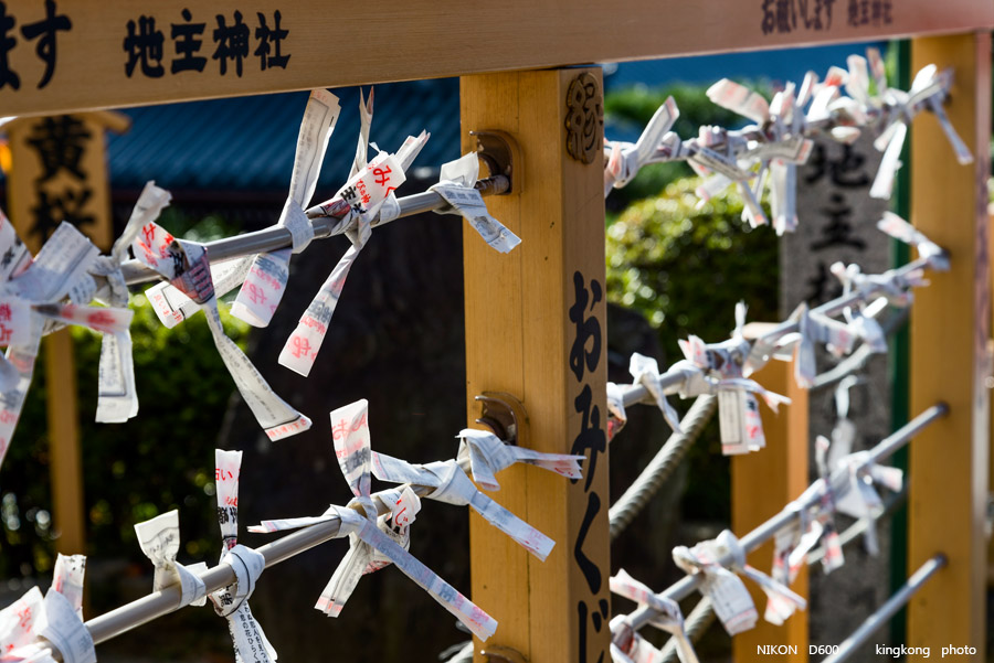 DSC_6018.jpg - OSAKA 2013
