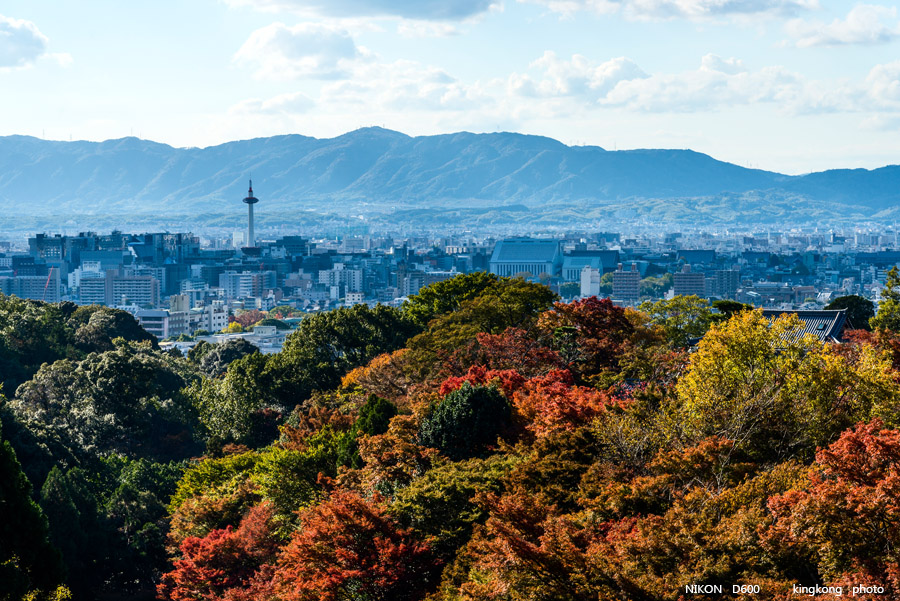 DSC_6037.jpg - OSAKA 2013