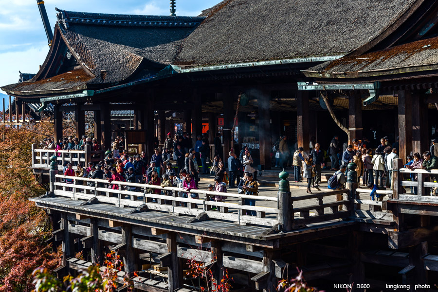 DSC_6038.jpg - OSAKA 2013