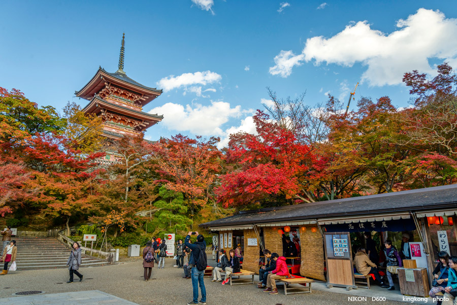 DSC_6084.jpg - OSAKA 2013