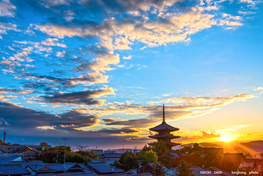 DSC_6163.jpg - osaka2013