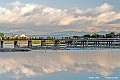 DSC_5294