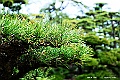 shikoku_0185