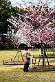 shikoku_0194