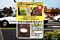shikoku_0208