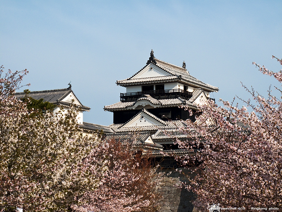 shikoku_238_g10.jpg