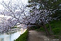 shikoku_0818