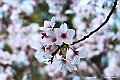 shikoku_0819