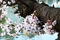 shikoku_0822