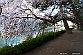 shikoku_0826