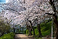 shikoku_0850