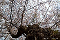 shikoku_0855