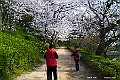 shikoku_0862