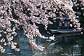 shikoku_0864