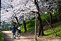 shikoku_0867
