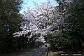 shikoku_0882