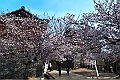 shikoku_0916