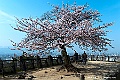 shikoku_1002