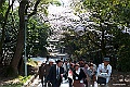 shikoku_1005