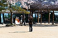 shikoku_1006