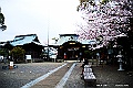 shikoku_1143