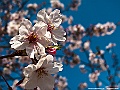 shikoku_234_g10