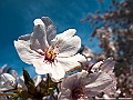 shikoku_240_g10