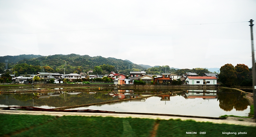 shikoku_1163.jpg - SHIKOKU KOBE OSAKA