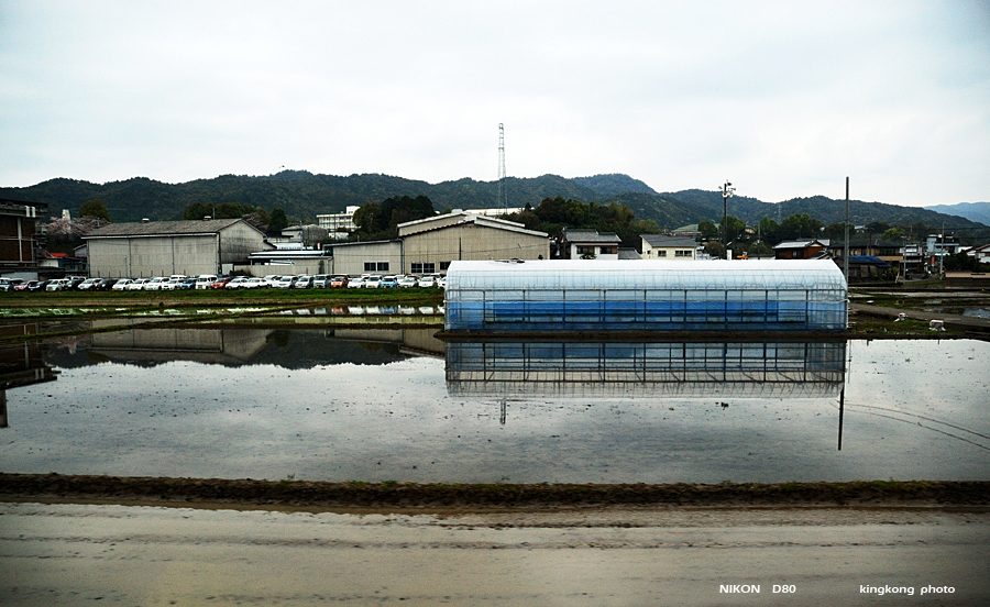 shikoku_1171.jpg - SHIKOKU KOBE OSAKA