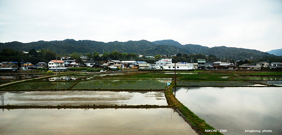 shikoku_1175.jpg - SHIKOKU KOBE OSAKA