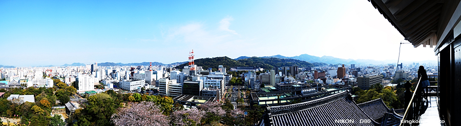 shikoku_1487.jpg - SHIKOKU KOBE OSAKA
