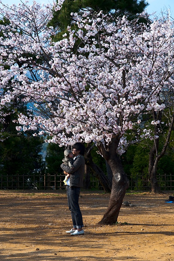 shikoku_1518.jpg - SHIKOKU KOBE OSAKA