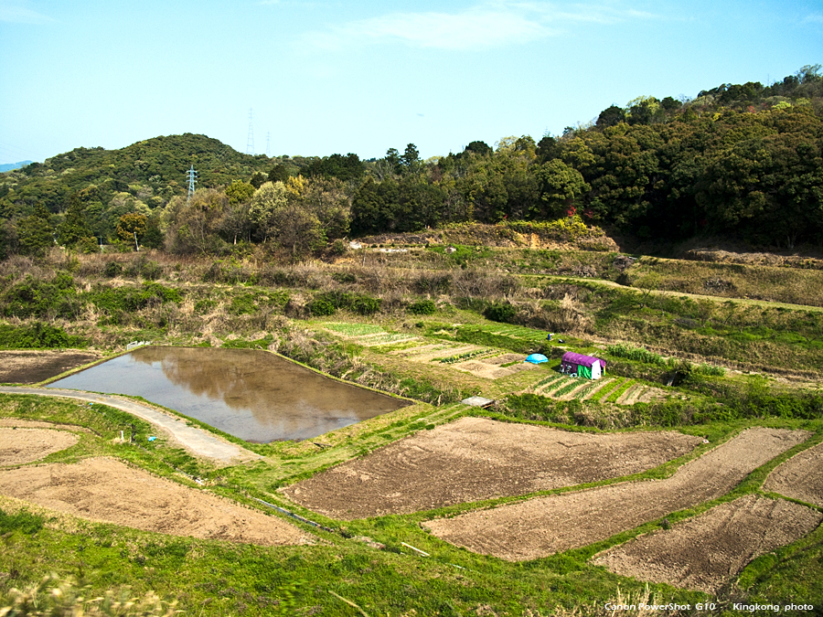 shikoku_354_g10.jpg
