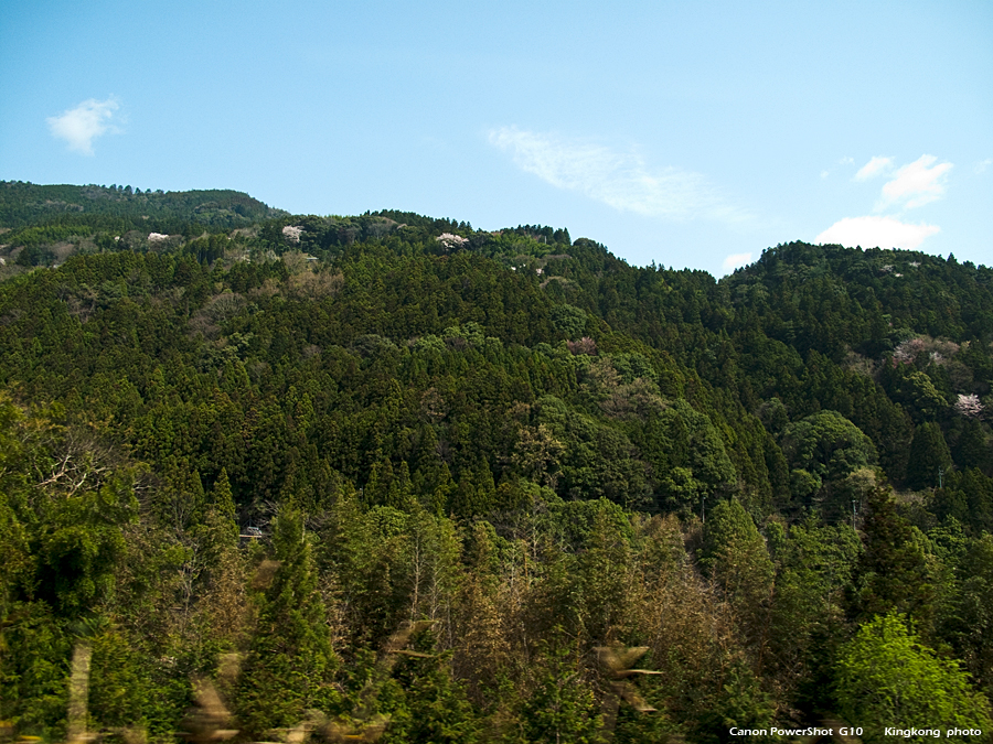 shikoku_358_g10.jpg