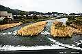 shikoku_1205