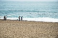 shikoku_1359