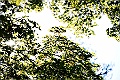 shikoku_1449