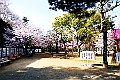 shikoku_1451