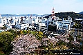 shikoku_1486