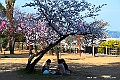 shikoku_1514