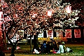 shikoku_1607