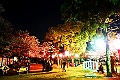 shikoku_1623
