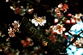 shikoku_1630