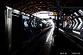 shikoku_1666